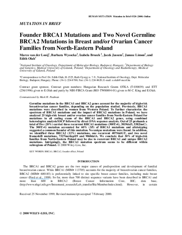 (PDF) Founder BRCA1 mutations and two novel germline BRCA2 mutations in ...