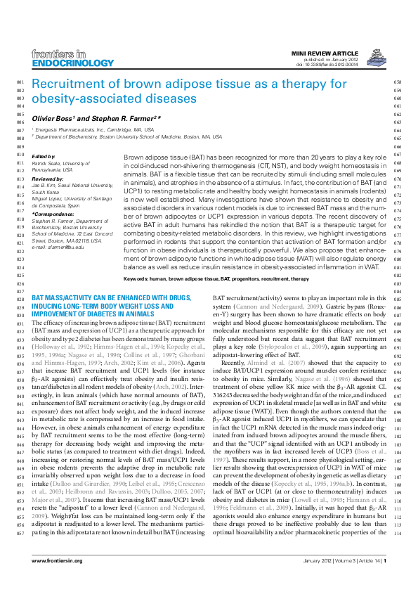 Recruitment of brown adipose tissue as a therapy for obesity-associated ...