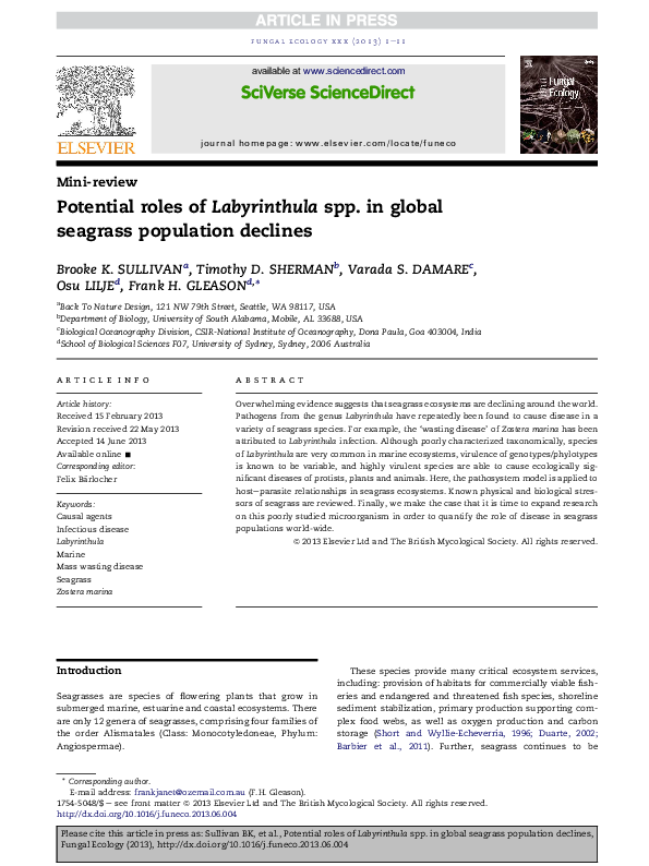 (PDF) Potential roles of Labyrinthula spp. in global seagrass ...