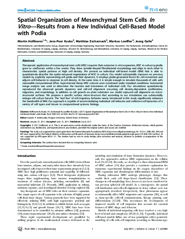 (PDF) Spatial organization of mesenchymal stem cells in vitro--results ...