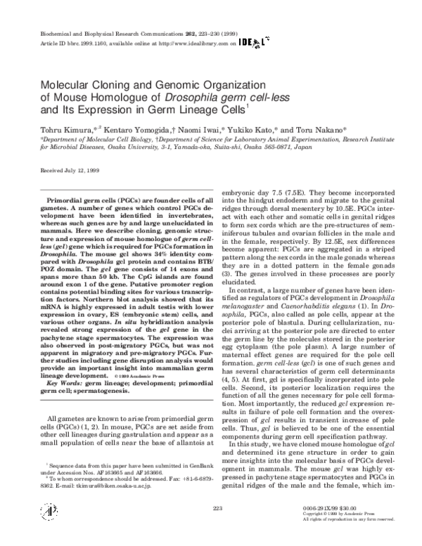 (PDF) Molecular Cloning and Genomic Organization of Mouse Homologue of ...