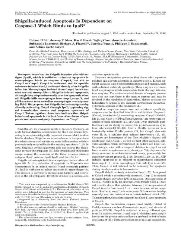 Shigella microbiology image