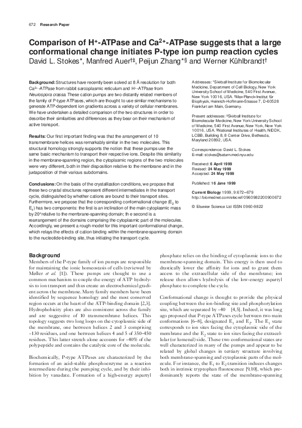 (PDF) Comparison of H+-ATPase and Ca2+-ATPase suggests that a large ...