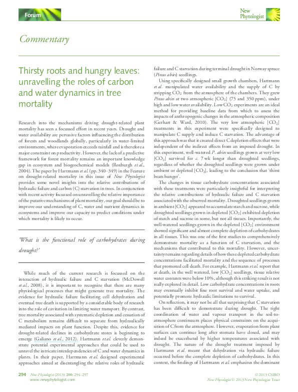 (PDF) Thirsty roots and hungry leaves: unravelling the roles of carbon ...