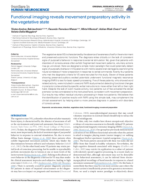 (PDF) Functional imaging reveals movement preparatory activity in the ...