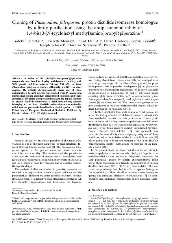 Animal cloning essay picture