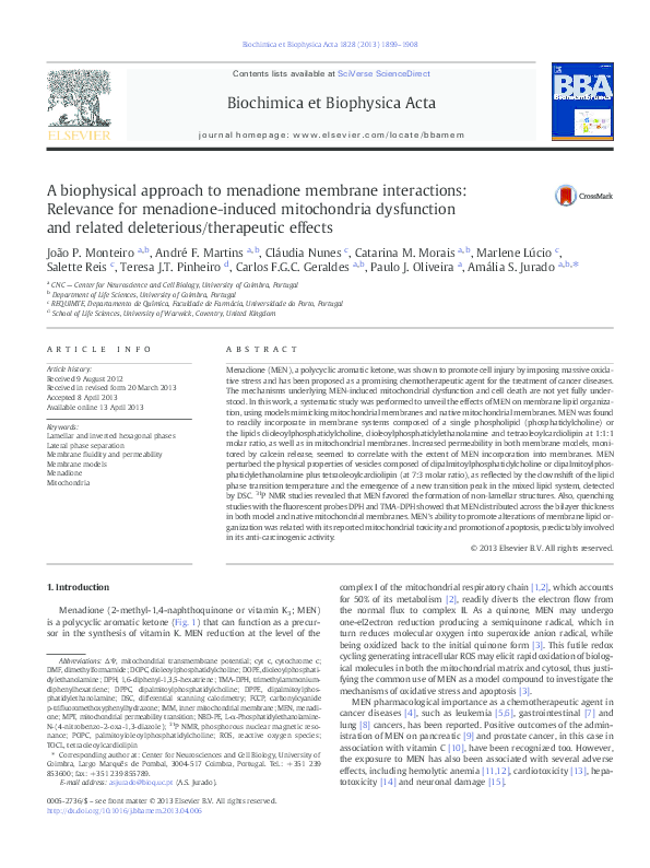 Biophysical interactions essay 06 picture