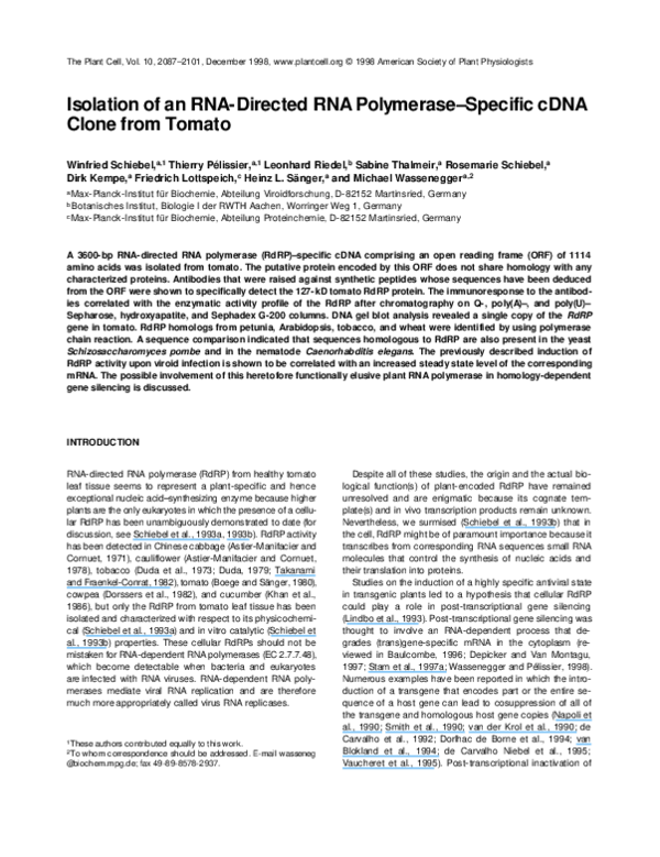 (PDF) Isolation of an RNA-Directed RNA Polymerase-Specific cDNA Clone ...