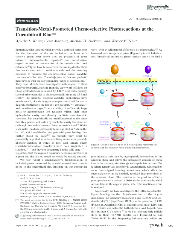 Transition metals essay image