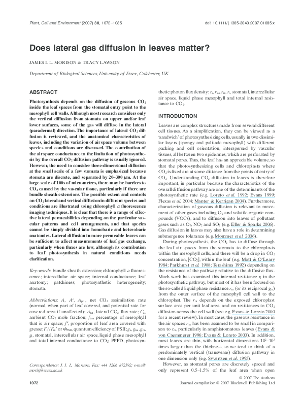Essay about gas diffusion affects your day to day life image