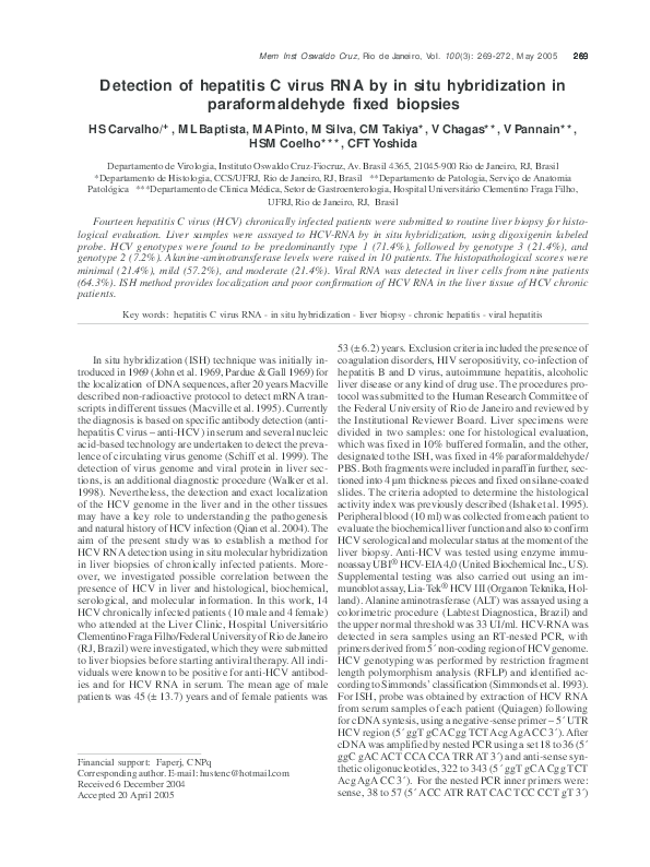 (PDF) Detection of hepatitis C virus RNA by in situ hybridization in ...