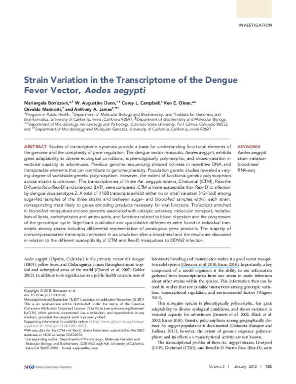 (PDF) Strain Variation in the Transcriptome of the Dengue Fever Vector ...