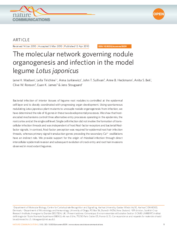 (PDF) The molecular network governing nodule organogenesis and ...