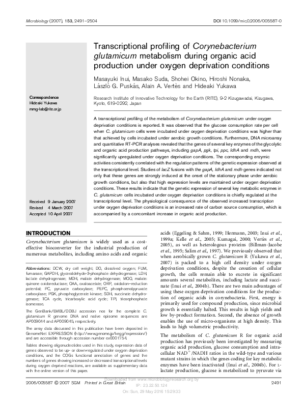 (PDF) Transcriptional profiling of Corynebacterium glutamicum ...