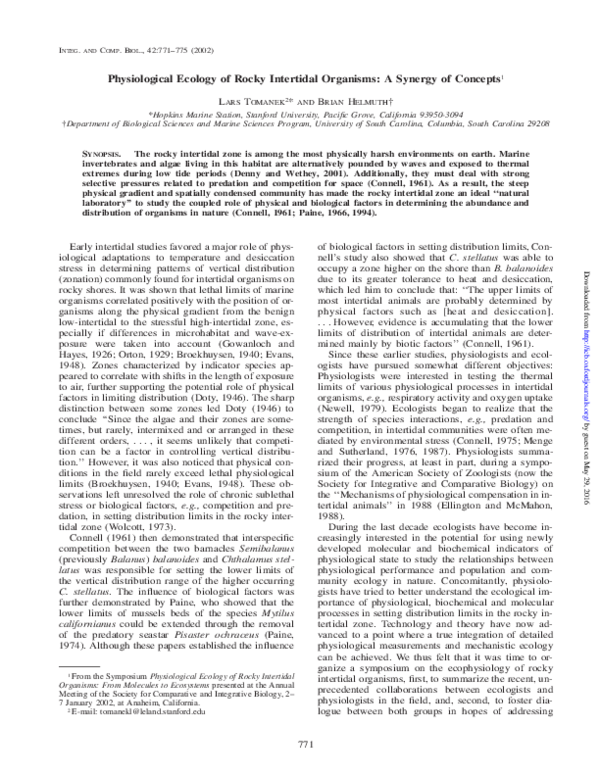 Tree ecophysiology picture