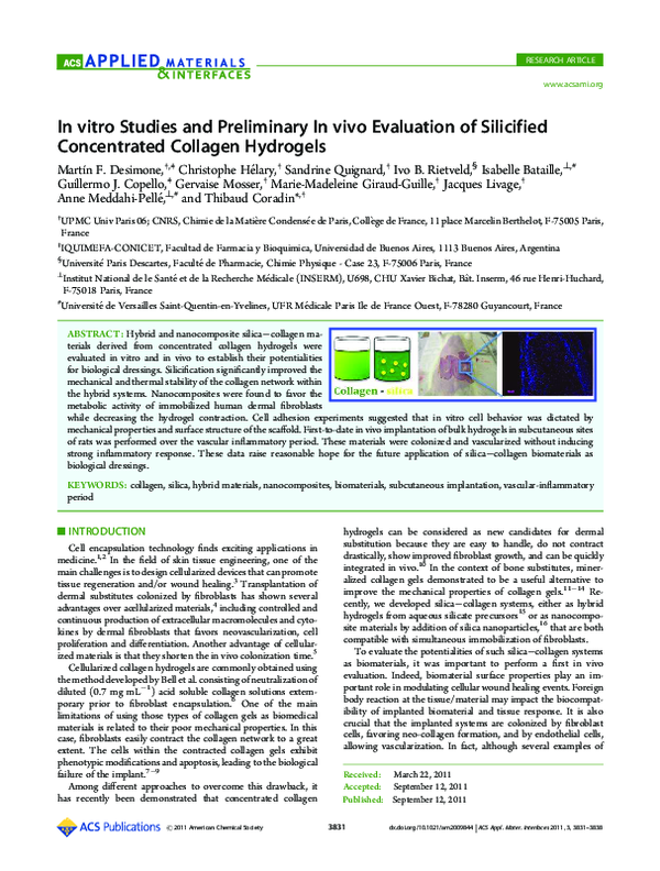 (PDF) In vitro Studies and Preliminary In vivo Evaluation of Silicified ...