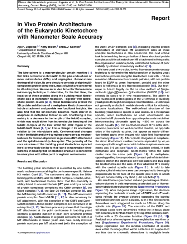 (PDF) In Vivo Protein Architecture of the Eukaryotic Kinetochore with ...