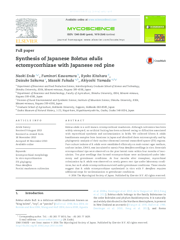 Pdf Synthesis Of Japanese Boletus Edulis Ectomycorrhizae With Japanese Red Pine Daisuke Sakuma Academia Edu
