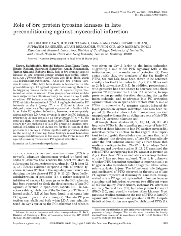 (PDF) Role of Src protein tyrosine kinases in late preconditioning ...