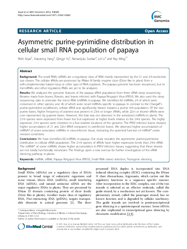(PDF) Asymmetric purine-pyrimidine distribution in cellular small RNA ...