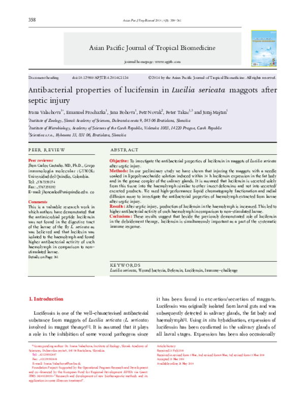 Pros and cons of maggot therapy image
