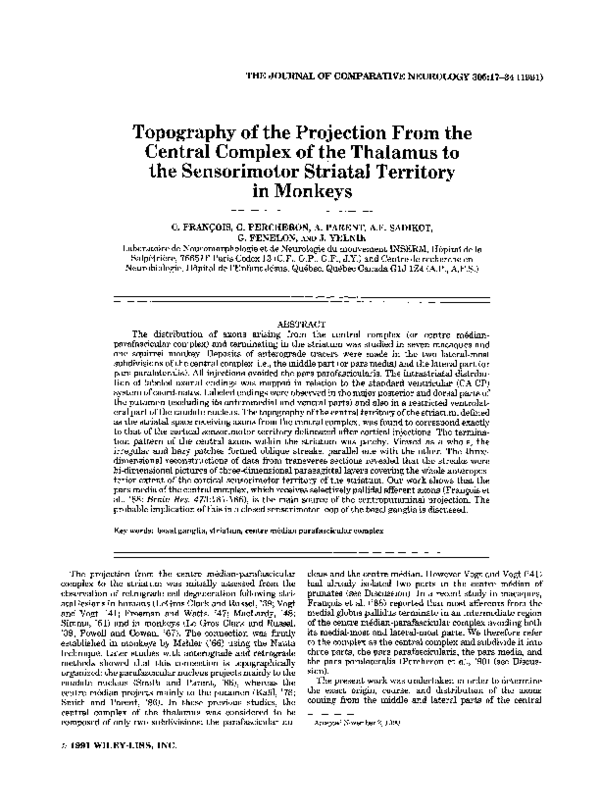 (PDF) Topography of the projection from the central complex of the ...
