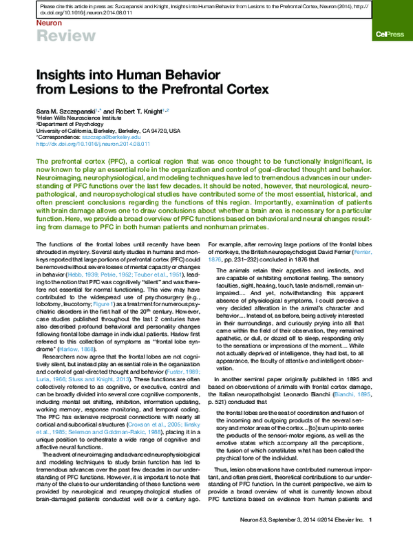(PDF) Insights into human behavior from lesions to the prefrontal cortex