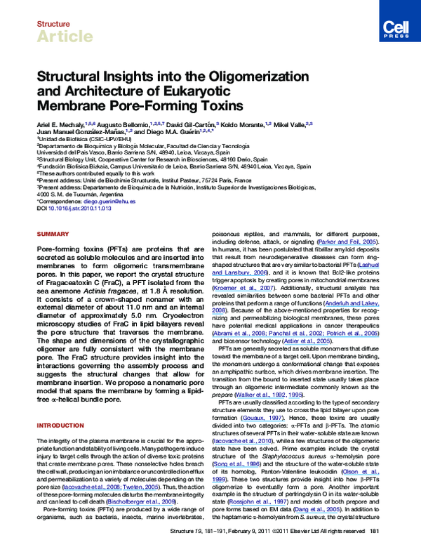 (PDF) Structural Insights into the Oligomerization and Architecture of ...