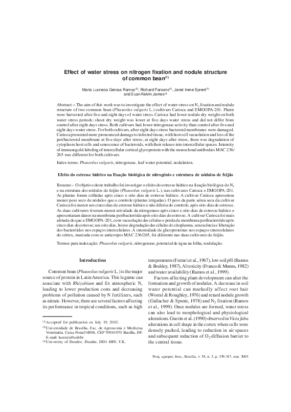 (PDF) Effect of water stress on nitrogen fixation and nodule structure ...