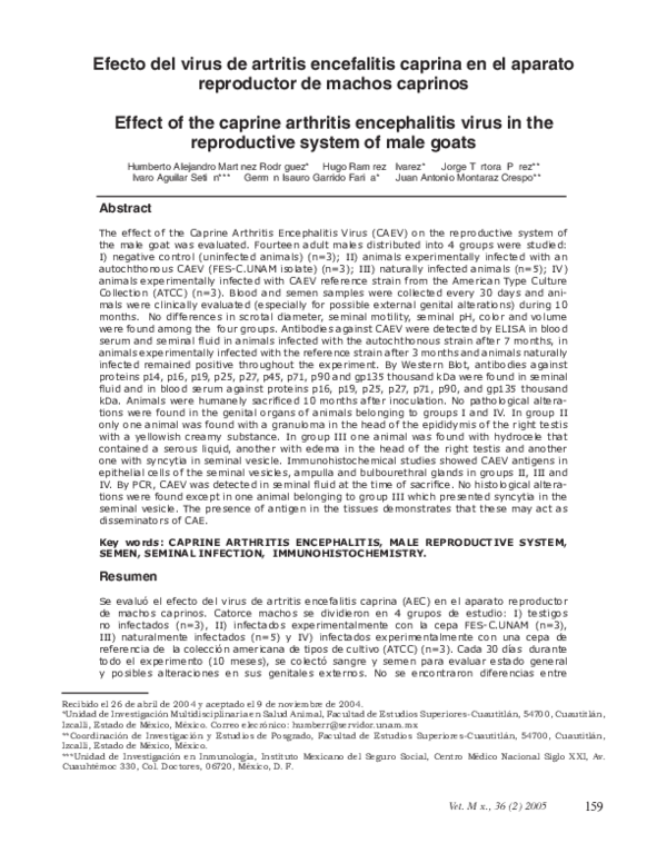 (PDF) Efecto del virus de artritis encefalitis caprina en el aparato ...