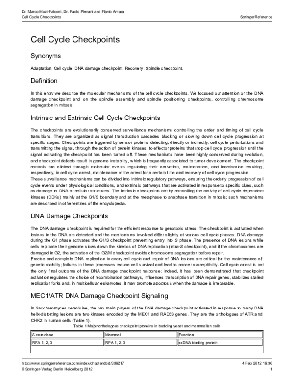 (PDF) Cell Cycle Checkpoints Flavio Amara Academia.edu
