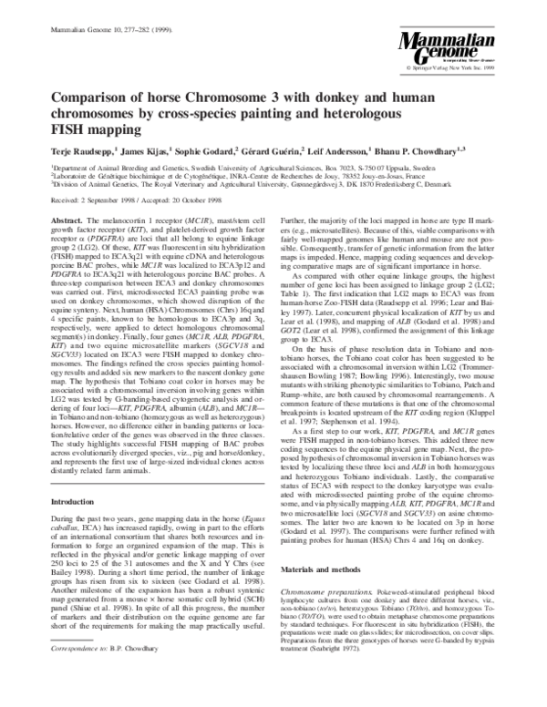 (PDF) Comparison of horse Chromosome 3 with donkey and human ...