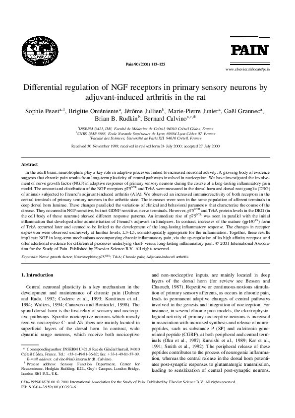 Five senses and their functions picture