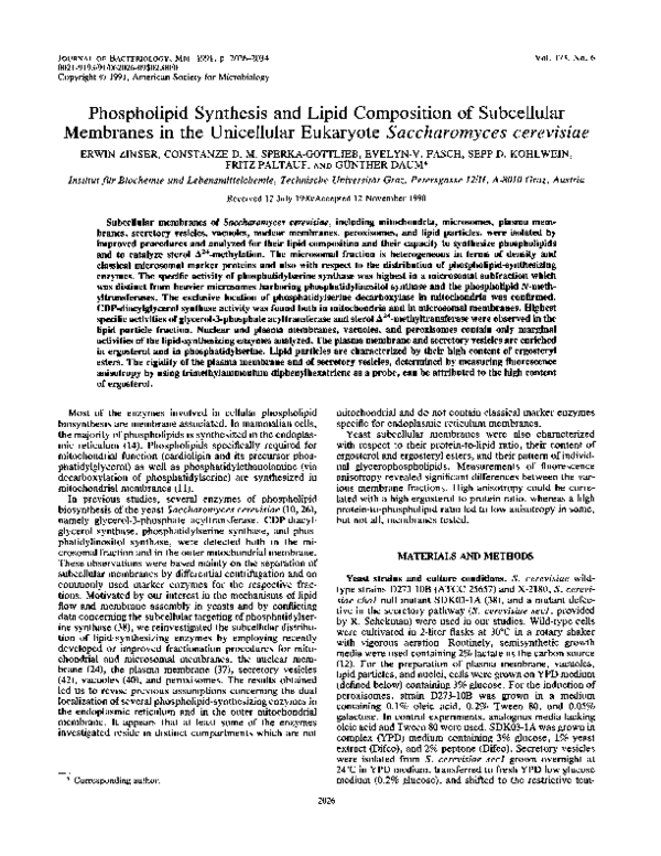 (PDF) Phospholipid synthesis and lipid composition of subcellular ...