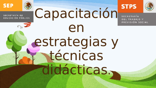 (PPT) Capacitacion en estrategias y tecnicas didacticas