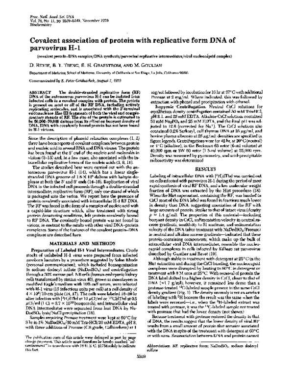 Parvo symptoms dogs picture