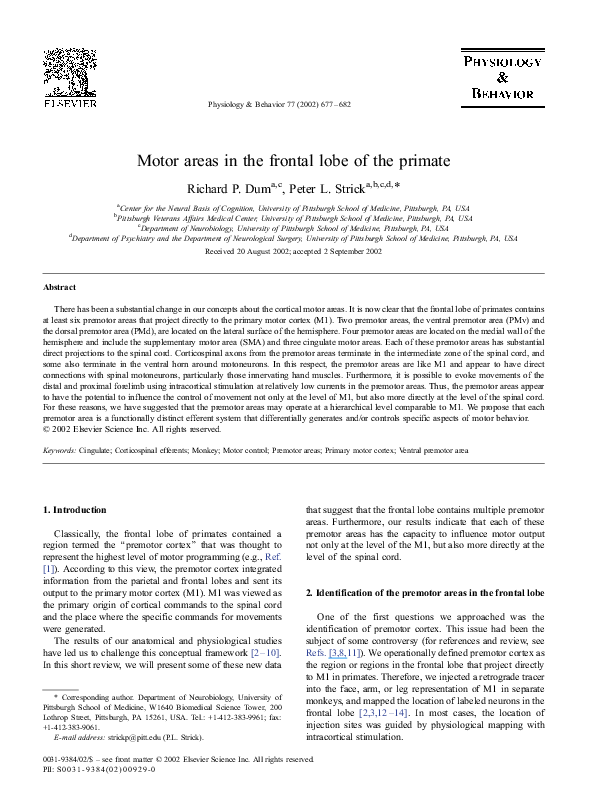 (PDF) Motor areas in the frontal lobe of the primate Peter Strick Academia.edu