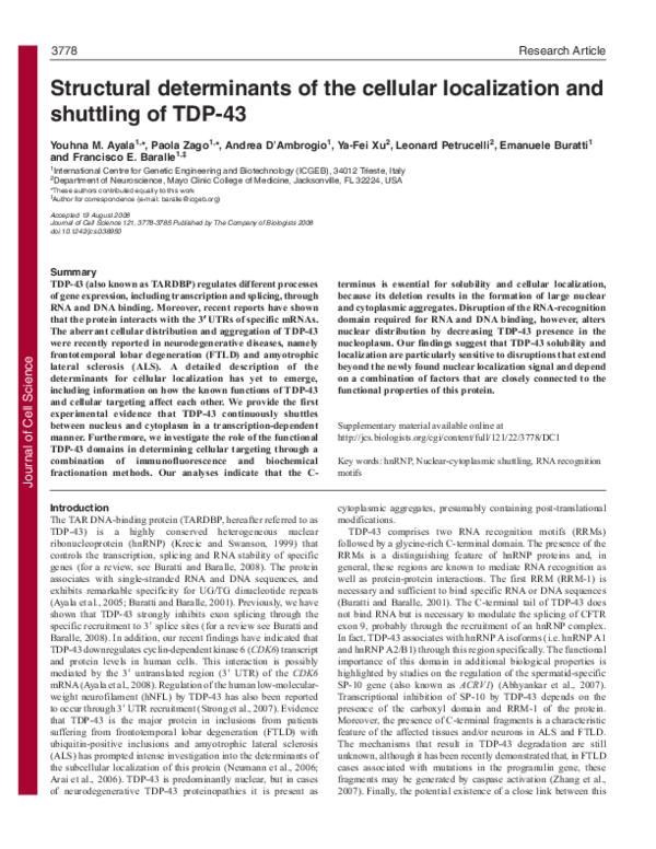 (PDF) Structural determinants of the cellular localization and ...