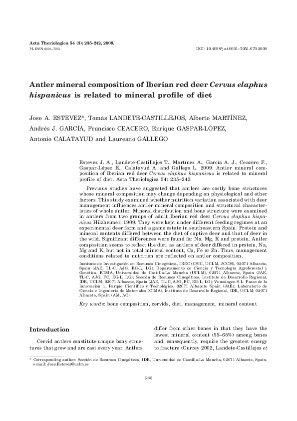 Cervus essay 05 image