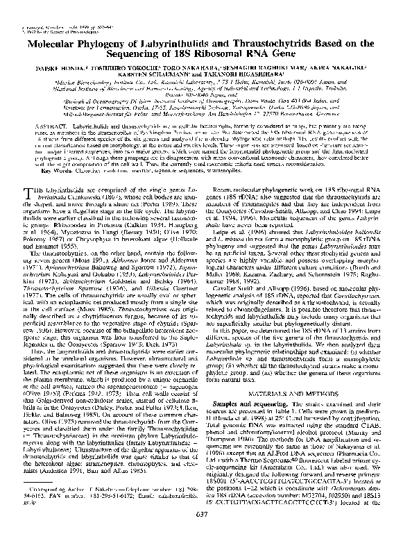 (PDF) Molecular Phylogeny of Labyrinthulids and Thraustochytrids Based ...
