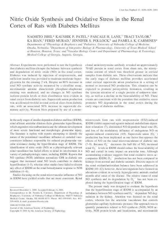 (PDF) Nitric oxide synthesis and oxidative stress in the renal cortex ...