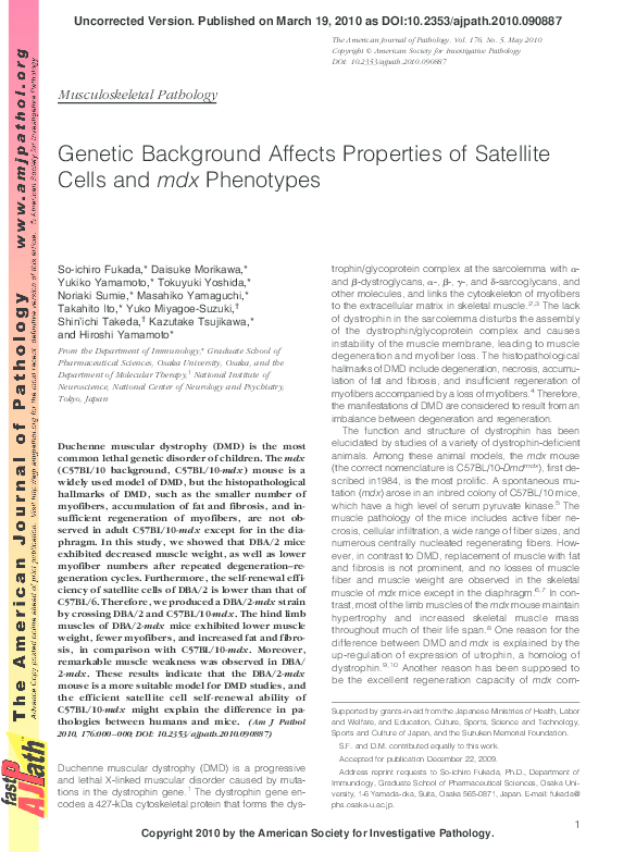 (PDF) Genetic Background Affects Properties of Satellite Cells and mdx ...