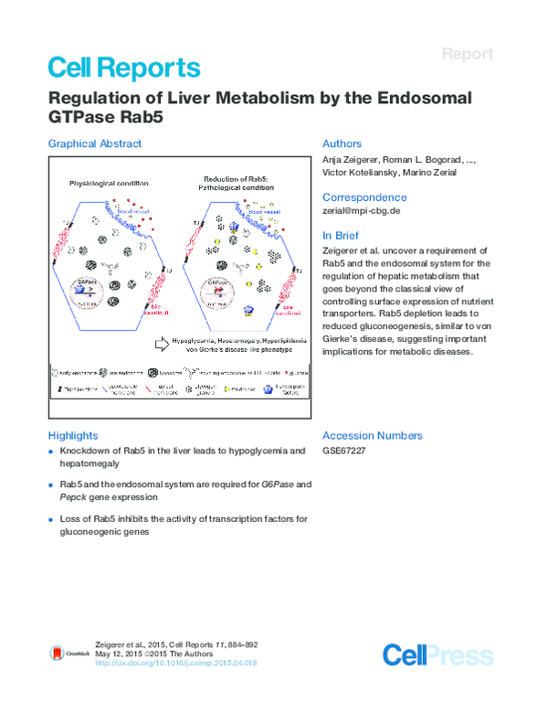 (PDF) Regulation of Liver Metabolism by the Endosomal GTPase Rab5