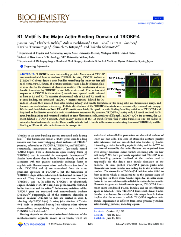 (PDF) R1 motif is the major actin-binding domain of TRIOBP-4