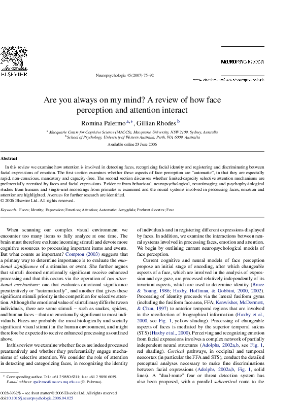(PDF) Are you always on my mind? A review of how face perception and ...