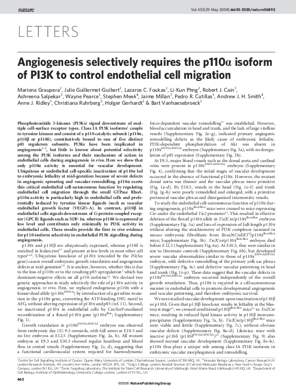(PDF) Angiogenesis selectively requires the p110 alpha isoform of PI3K ...