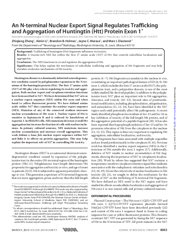 (PDF) An N-terminal Nuclear Export Signal Regulates Trafficking and ...