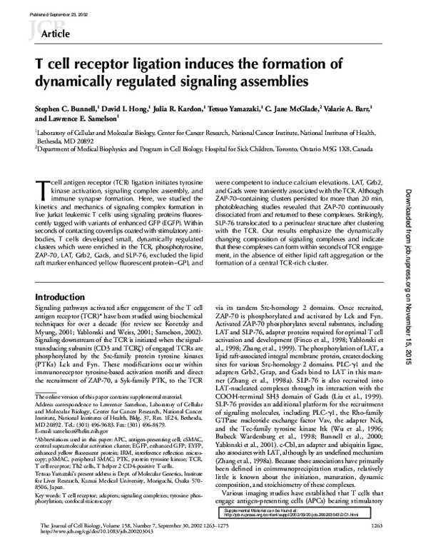 (PDF) T cell receptor ligation induces the formation of dynamically ...