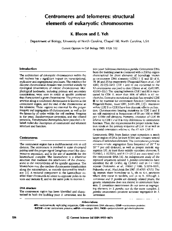 (PDF) Centromeres and telomeres: structural element's of eukaryotic ...