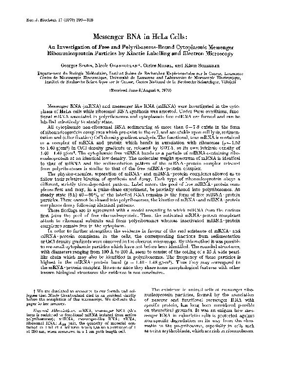 (PDF) Messenger RNA in HeLa Cells:. An Investigation of Free and ...